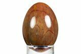 Colorful Chinchilla Petrified Wood (Conifer) Egg - Australia #309038-1